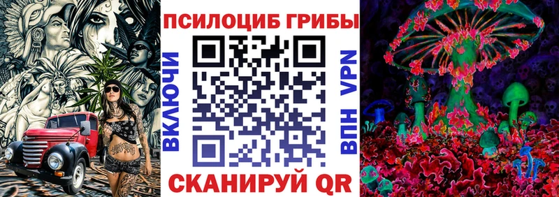 Псилоцибиновые грибы GOLDEN TEACHER  Томари 